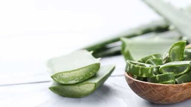 Aloe Vera Bakımı Nasıl Olur