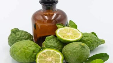 Bergamot Yağı Nasıl Yapılır