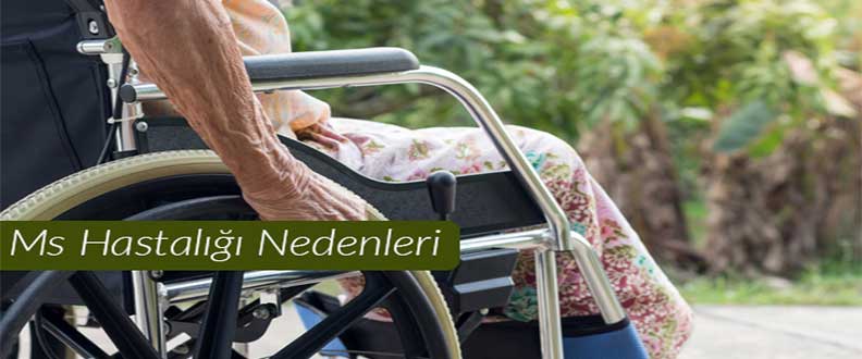 Ms Hastalığı Nedir