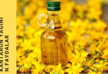 Kantaron Yağının Saçlara Faydaları