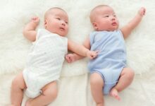 Tek yumurta ve çift yumurta ikizlerinin farkları