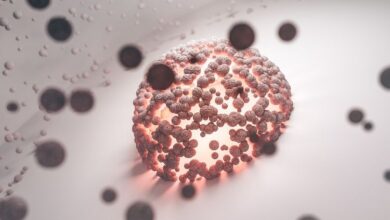Ureaplasma Nedir