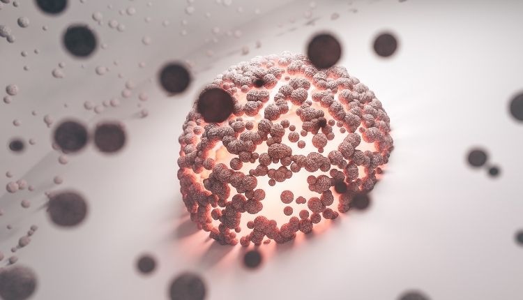 Ureaplasma Nedir